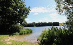 zentrumsnahes Wohnen in der Alten Schule am See